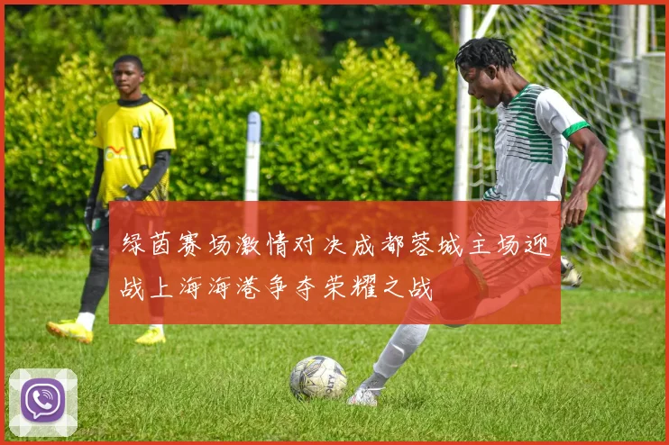 绿茵赛场激情对决成都蓉城主场迎战上海海港争夺荣耀之战